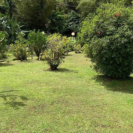 972B-Coin De Verdure Au Pied De La Montagne Pelee Le Morne-Rouge Buitenkant foto