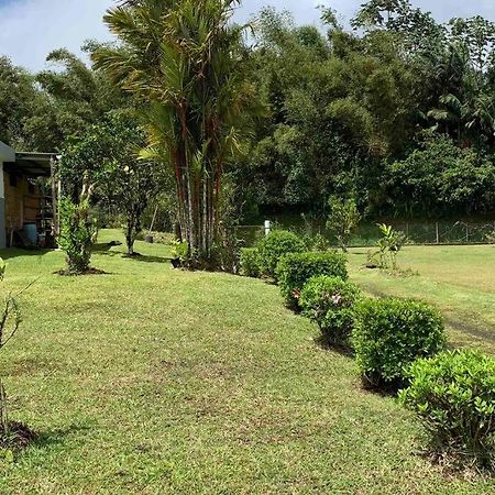 972B-Coin De Verdure Au Pied De La Montagne Pelee Le Morne-Rouge Buitenkant foto