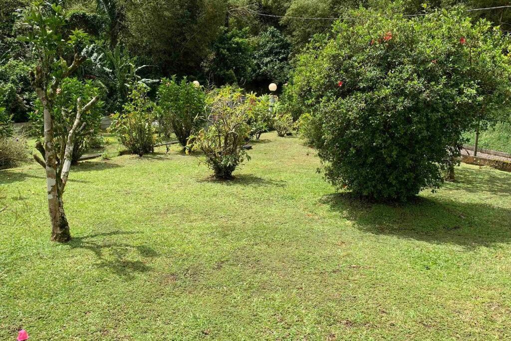 972B-Coin De Verdure Au Pied De La Montagne Pelee Le Morne-Rouge Buitenkant foto