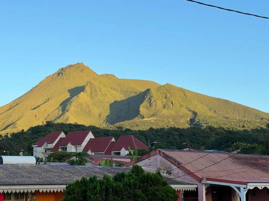 972B-Coin De Verdure Au Pied De La Montagne Pelee Le Morne-Rouge Buitenkant foto