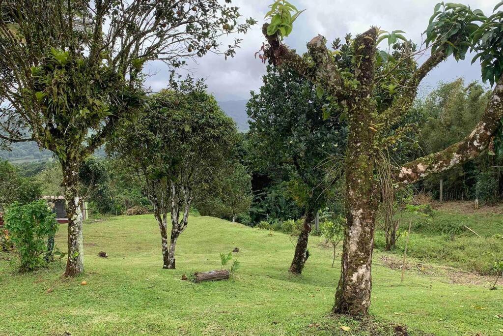 972B-Coin De Verdure Au Pied De La Montagne Pelee Le Morne-Rouge Buitenkant foto
